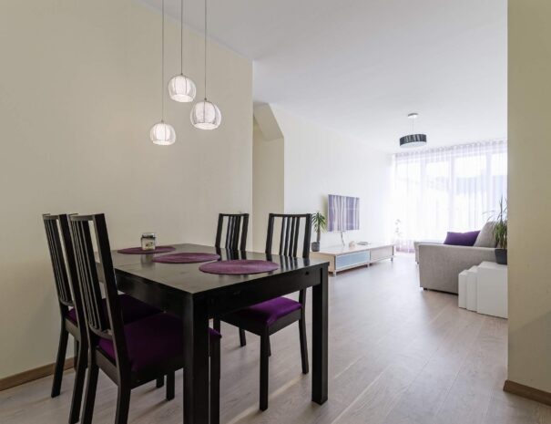 Dream Stay - Spacious Apartment with Sauna in City Center14